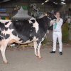 Wintershow_NH_2016_025