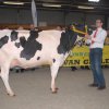 Wintershow_NH_2016_026