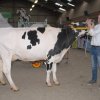 Wintershow_NH_2016_027