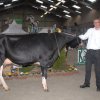 Wintershow_NH_2016_028