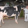 Wintershow_NH_2016_029