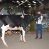 Wintershow_NH_2016_030