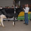 Wintershow_NH_2016_032