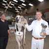 Wintershow_NH_2016_034