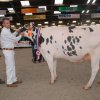 Wintershow_NH_2016_035