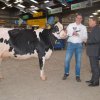 Wintershow_NH_2016_037