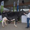 Wintershow_NH_2016_039