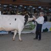 Wintershow_NH_2016_041