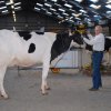 Wintershow_NH_2016_044