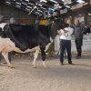 Wintershow_NH_2016_045