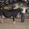 Wintershow_NH_2016_046