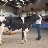 Wintershow_NH_2016_048