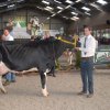 Wintershow_NH_2016_049