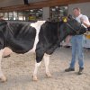 Wintershow_NH_2016_051