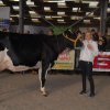 Wintershow_NH_2016_052