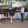 Wintershow_NH_2016_053
