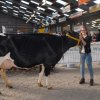 Wintershow_NH_2016_055