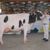 Wintershow_NH_2016_057