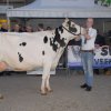 Wintershow_NH_2016_060