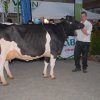 Wintershow_NH_2016_061