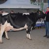 Wintershow_NH_2016_062
