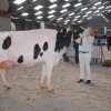 Wintershow_NH_2016_063