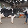 Wintershow_NH_2016_064