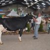 Wintershow_NH_2016_066