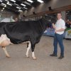 Wintershow_NH_2016_067