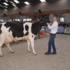 Wintershow_NH_2016_068