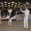 Wintershow_NH_2016_069