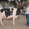 Wintershow_NH_2016_071