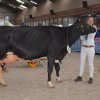 Wintershow_NH_2016_072