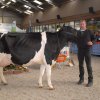 Wintershow_NH_2016_074