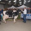 Wintershow_NH_2016_076