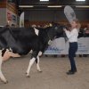 Wintershow_NH_2016_077