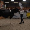 Wintershow_NH_2016_078