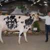 Wintershow_NH_2016_079