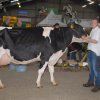 Wintershow_NH_2016_080