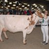 Wintershow_NH_2016_081
