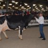 Wintershow_NH_2016_082