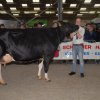 Wintershow_NH_2016_083