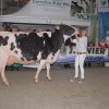 Wintershow_NH_2016_084