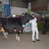 Wintershow_NH_2016_085