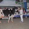 Wintershow_NH_2016_087