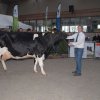 Wintershow_NH_2016_089