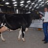 Wintershow_NH_2016_090