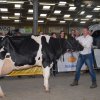 Wintershow_NH_2016_091