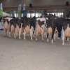 Wintershow_NH_2016_092