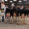 Wintershow_NH_2016_094